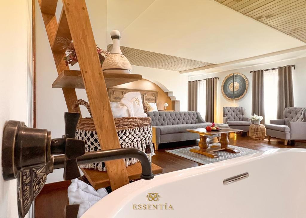 The Essentia Hotel San Miguel San Miguel de Allende Buitenkant foto