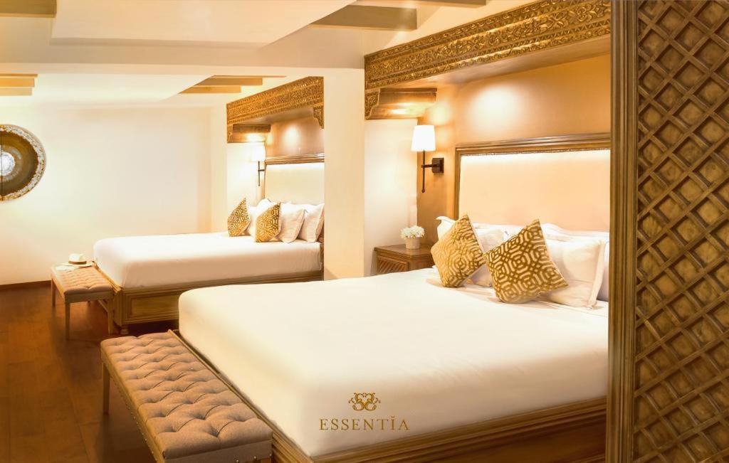 The Essentia Hotel San Miguel San Miguel de Allende Buitenkant foto