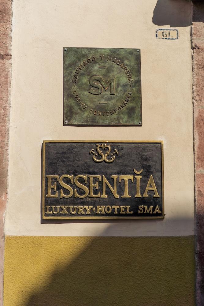 The Essentia Hotel San Miguel San Miguel de Allende Buitenkant foto